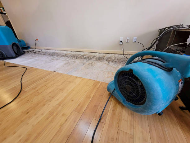 Professional Sewage Cleanup technician working in Porter, ME